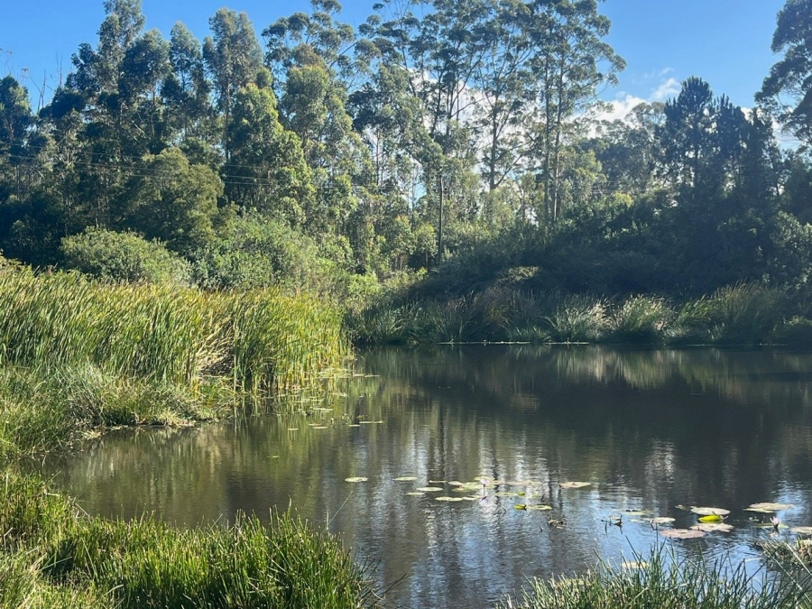 Commercial Property for Sale in Plettenberg Bay Rural Western Cape